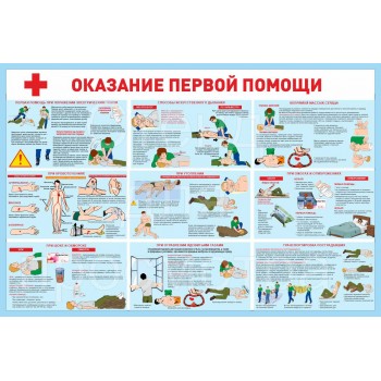 Первая помощь Первая помощь